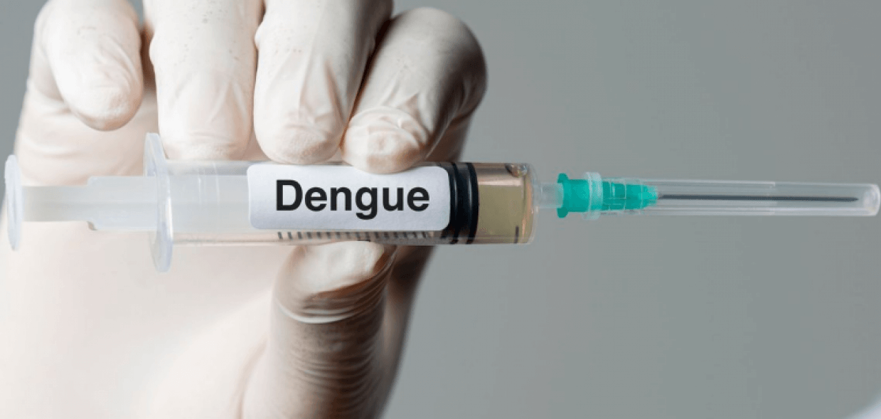 Nova vacina contra a dengue chega ao Brasil na próxima semana