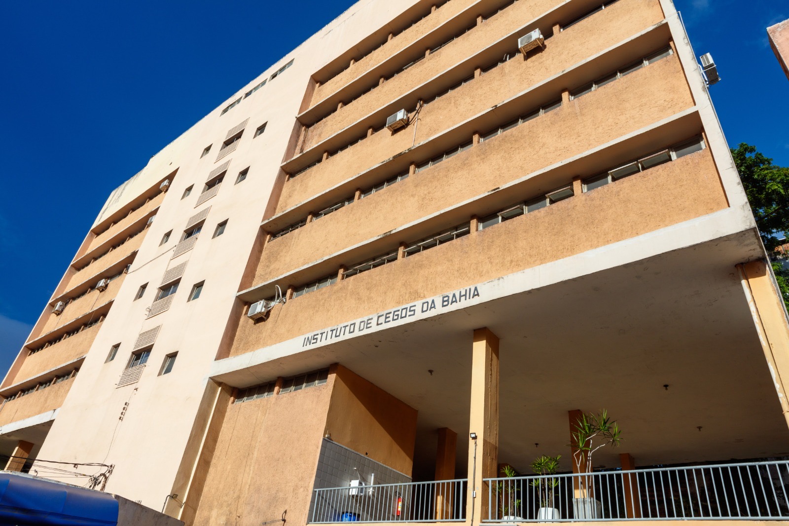 Instituto de Cegos da Bahia convoca a sociedade para ampliar o seu olhar para as pessoas com deficiência visual