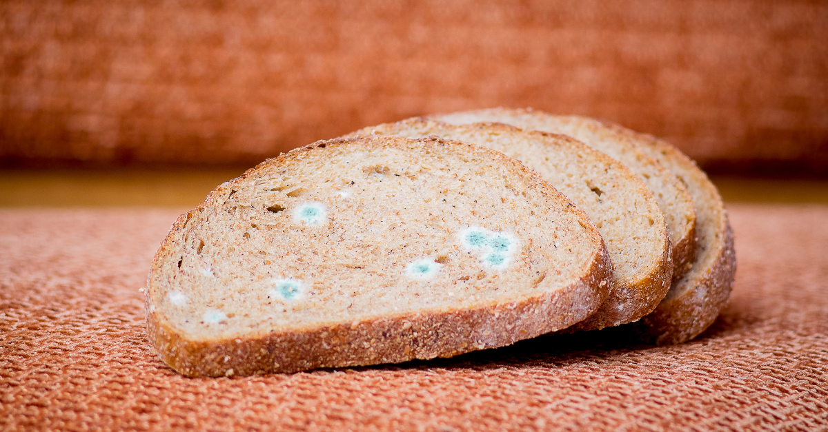 Comeu um alimento mofado? Saiba como o corpo reage