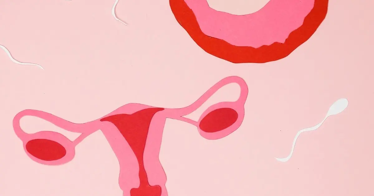 Justiça de São Paulo obriga plano de saúde a custear congelamento de óvulos para paciente com câncer de mama