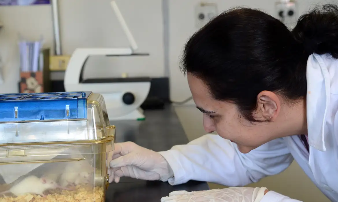 Biofabricação de tecidos humanos pode acelerar desenvolvimento de medicamentos