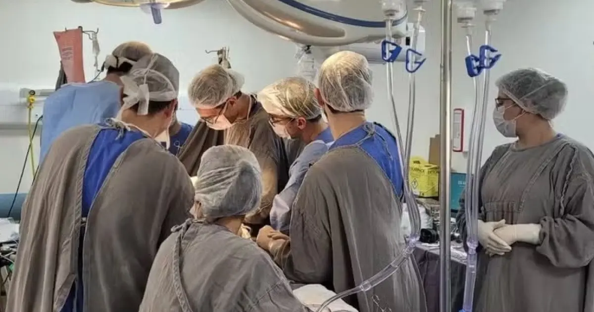 Brasil bate recorde com mais de 30 mil transplantes de órgãos e tecidos em 2024